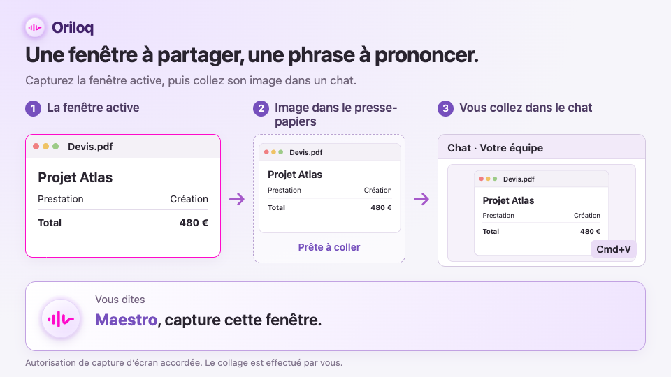 Capturer la fenêtre active avec Maestro, puis coller son image dans un chat avec Cmd+V.